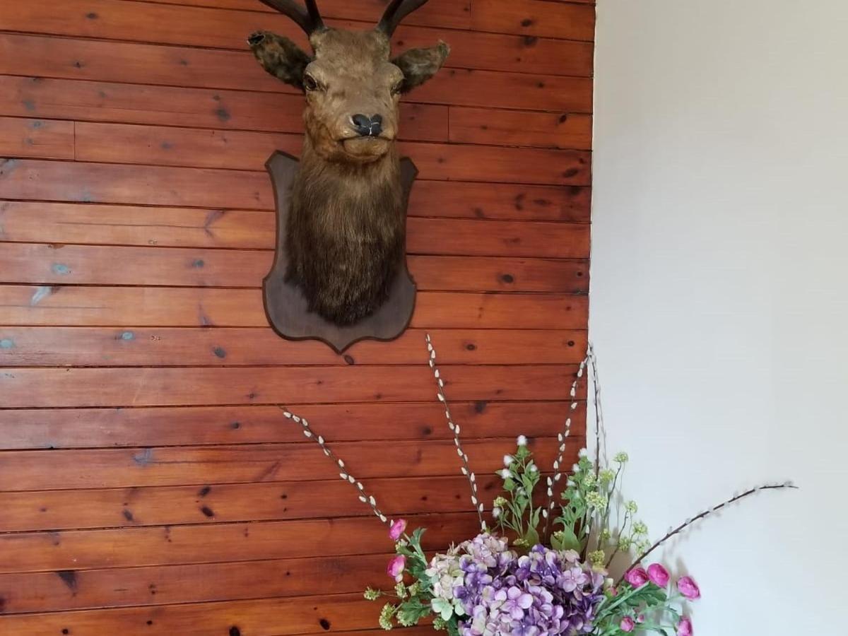 Glenan Lodge Self Catering Tomatin Eksteriør bilde
